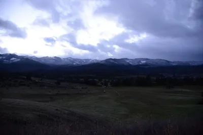 DSC_0992 (Large).JPG